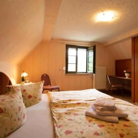 Chateau-de-la-moselle *