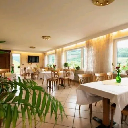 Chateau-de-la-moselle Apartment Kinheim