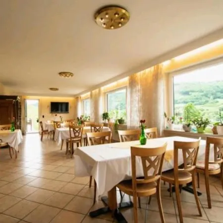 Chateau-de-la-moselle Apartment Kinheim