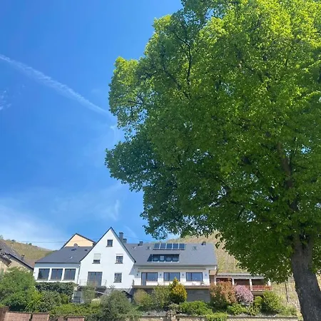 Apartment Chateau-de-la-moselle